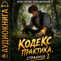 Кодекс Практика. Страница 1
