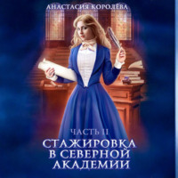 Стажировка в Северной Академии. Часть 2