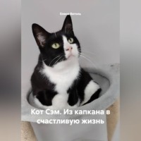 Кот Сэм: Из капкана в счастливую жизнь