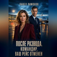 После развода. Командир, ваш рейс отменен