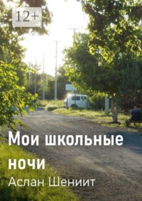 Мои школьные ночи