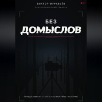 Без домыслов