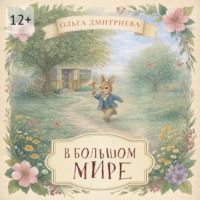 В большом мире