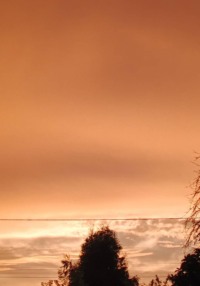 Рассказы