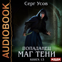 Попаданец. Маг Тени. Книга 13
