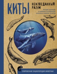 Киты. Неизведанный разум. История эволюции и новейшие исследования интеллекта морских гигантов