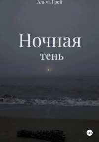 Ночная тень