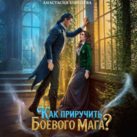 Как приручить боевого мага?
