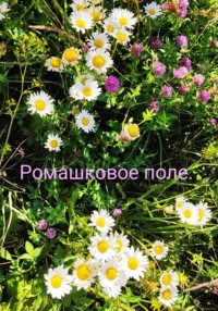 Ромашковое поле