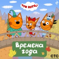 Три кота. Времена года