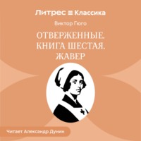 Отверженные. Книга шестая. ЖАВЕР