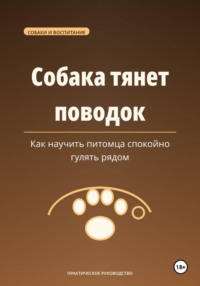 Собака тянет поводок — как научить питомца спокойно гулять рядом