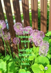 Он прижал меня к забору. Двинул руку вниз, а вверх вместе с полой сарафана. Со двора вышел сосед.