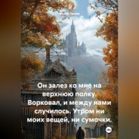 Он залез ко мне на верхнюю полку. Ворковал, и между нами случилось. Утром ни моих вещей, ни сумочки.