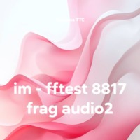 im – fftest 8817 frag audio2