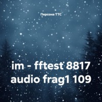 im – fftest 8817 audio frag1 109