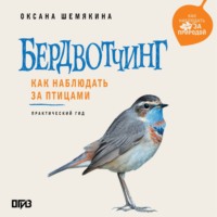 Бердвотчинг. Как наблюдать за птицами. Практический гид
