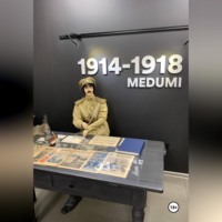 Военно-исторический роман Пепел Медуми