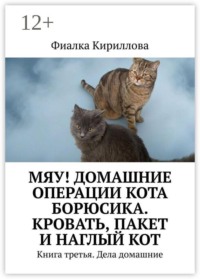 Мяу! Домашние операции кота Борюсика. Кровать, пакет и наглый кот. Книга третья. Дела домашние
