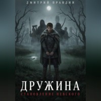 Дружина: Становление Невского