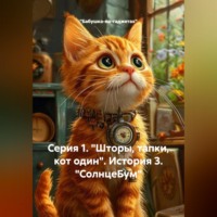 Серия 1. "Шторы, тапки, кот один". История 3. "СолнцеБум"