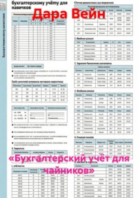 «Бухгалтерский учёт для чайников»