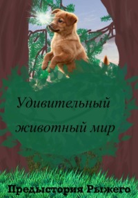 Удивительный животный мир. Предыстория Рыжего.