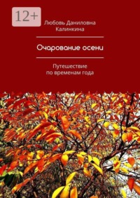 Очарование осени. Путешествие по временам года