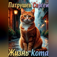 Жизнь кота