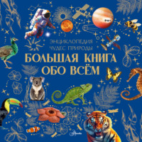 Большая книга обо всём