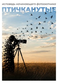Птичканутые. Исповедь начинающего фотоохотника