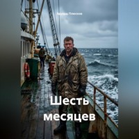 Шесть месяцев