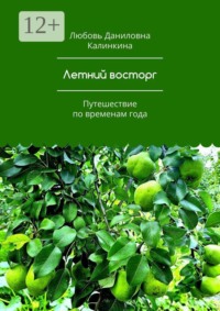 Летний восторг. Путешествие по временам года