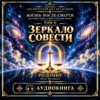 Жизнь после смерти. Путешествие души глазами рода. Том 2. Зеркало совести