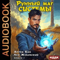 Рунный маг Системы. Книга 1