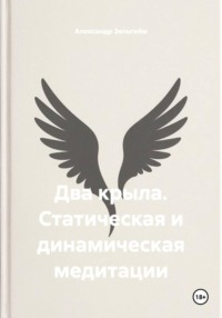 Два крыла. Статическая и динамическая медитации