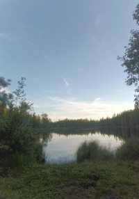 Жизнь меня
