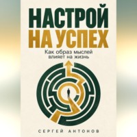 Настрой на успех. Как образ мыслей влияет на жизнь