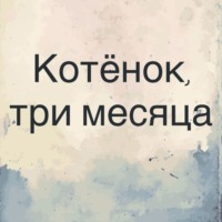 Котёнок, три месяца.