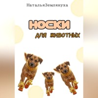 Носки для животных