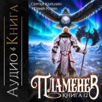Пламенев. Книга XII