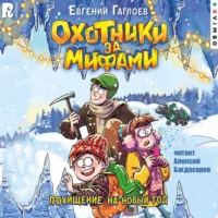 Охотники за мифами. Похищение на Новый год