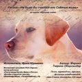 Не было бы счастья или Собачья жизнь