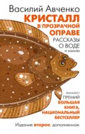 Кристалл в прозрачной оправе. Рассказы о воде и камнях