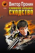Слишком большое сходство (сборник)