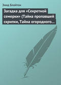 Загадка для «Секретной семерки» (Тайна пропавшей скрипки, Тайна огородного пугала)