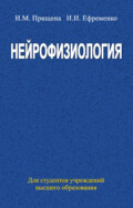 Нейрофизиология
