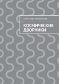 Космические дворники