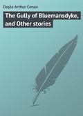 The Gully of Bluemansdyke, and Other stories