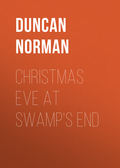 Christmas Eve at Swamp's End